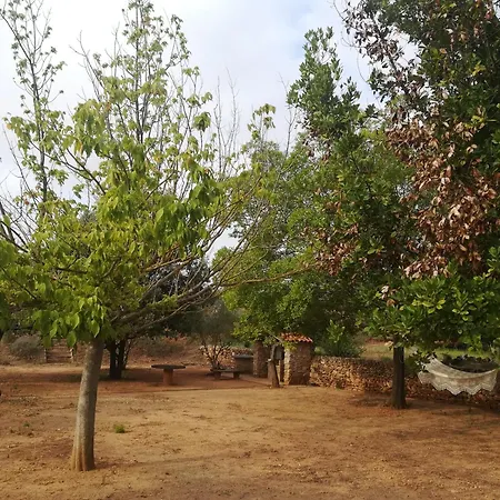 Mas De Paco, Chimenea, Barbacoa Y Piscina Vall dʼAlba